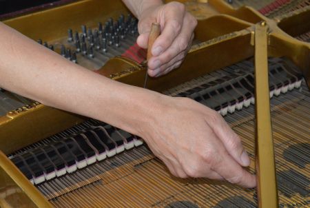 Stimmen / Konzertstimmung